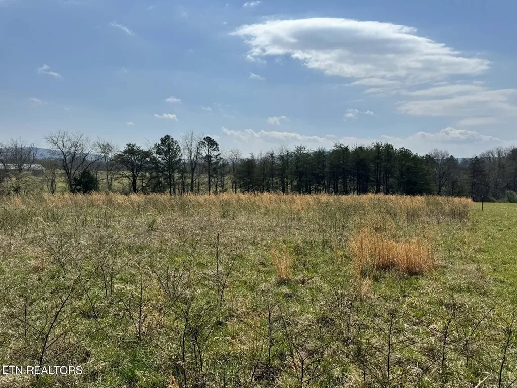 0 Knox Lane Crab Orchard TN 37723