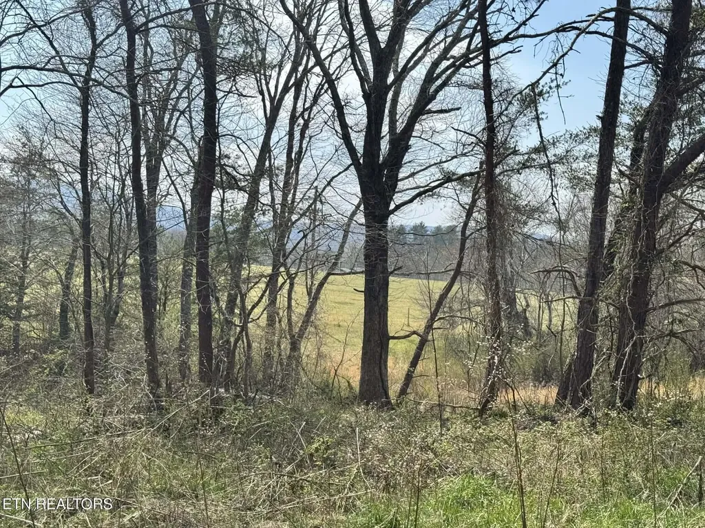 0 Knox Lane Crab Orchard TN 37723