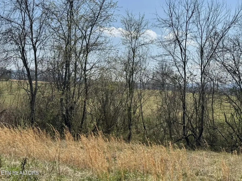 0 Knox Lane Crab Orchard TN 37723