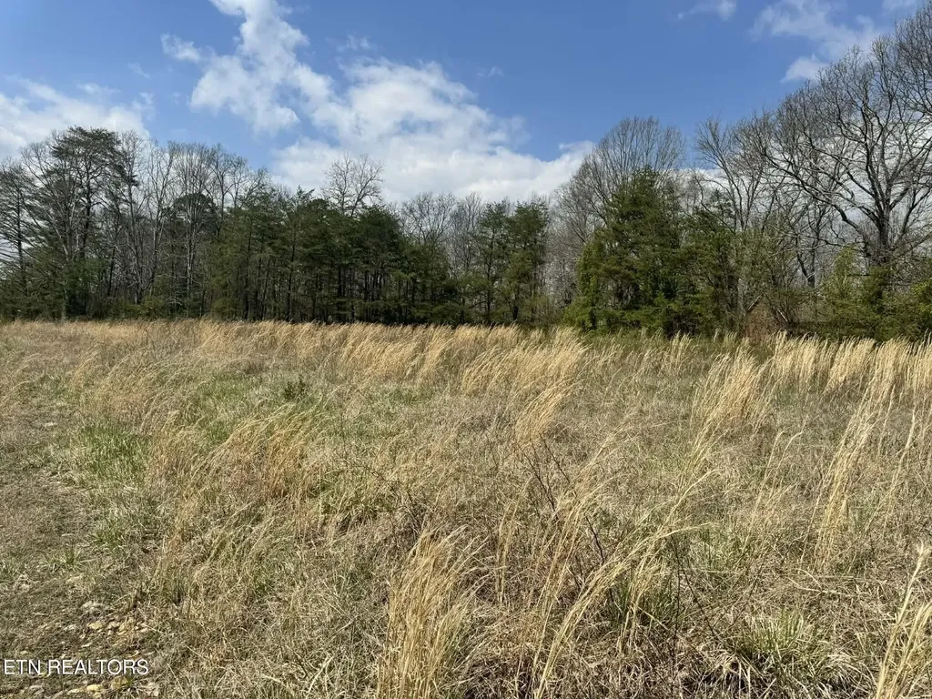 0 Knox Lane Crab Orchard TN 37723