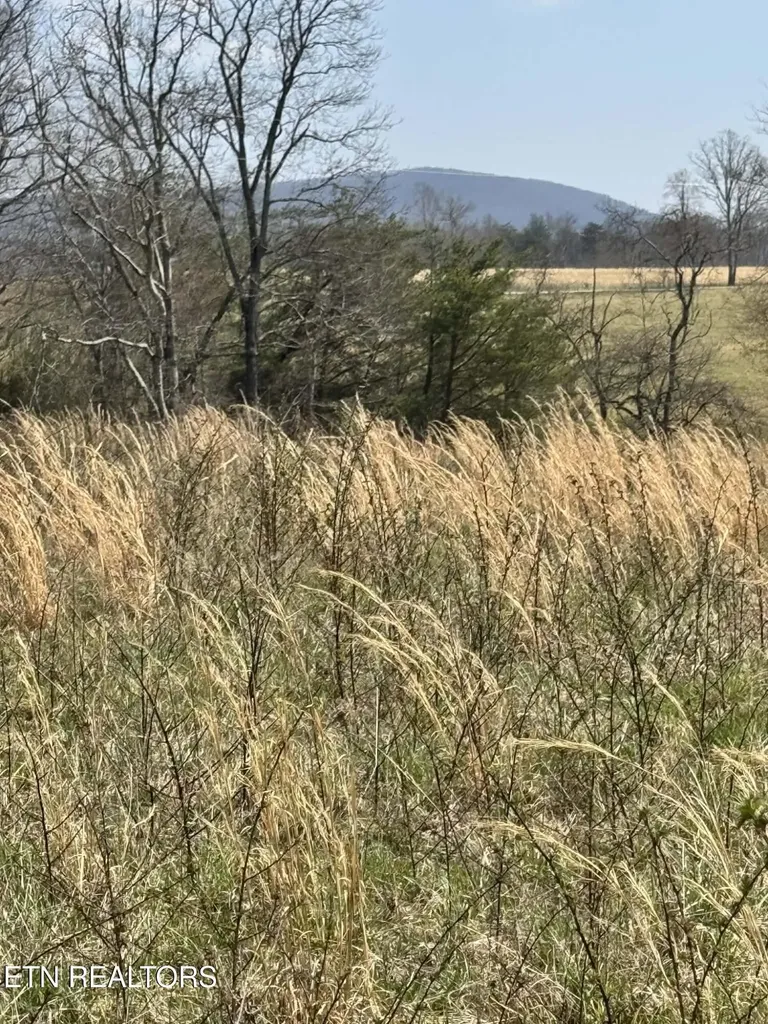 0 Knox Lane Crab Orchard TN 37723