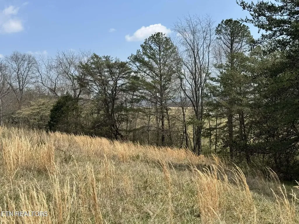 0 Knox Lane Crab Orchard TN 37723
