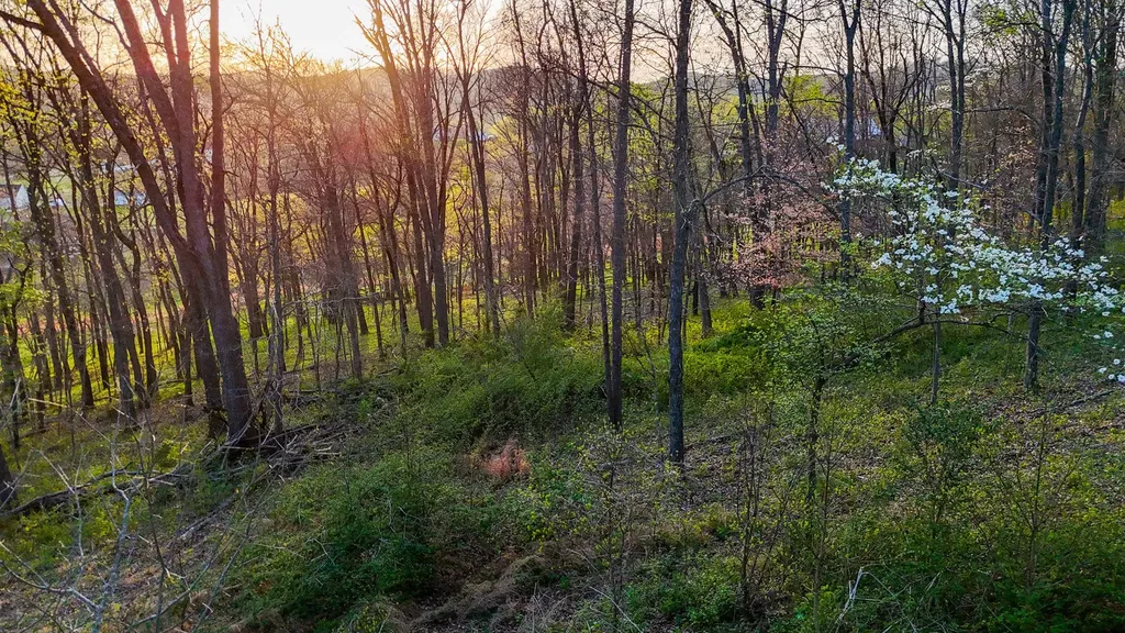 0 John Brinkley Road Shelbyville TN 37160