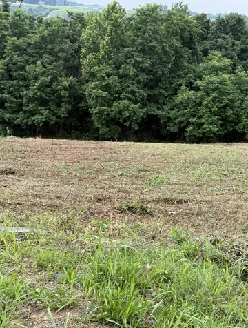 0 Mallard Road Hilham TN 38568