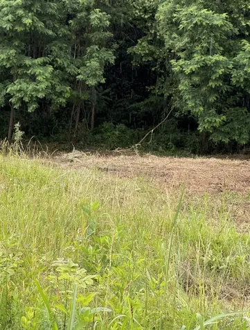 0 Mallard Road Hilham TN 38568