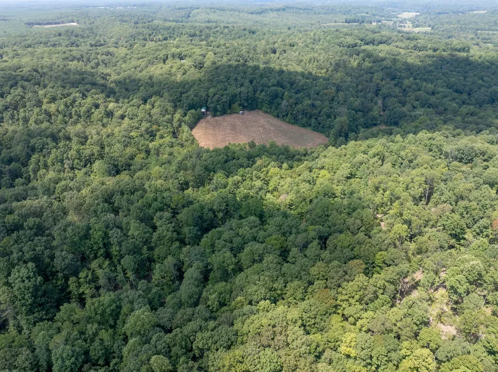 7422 Indian Creek Road Mc Ewen TN 37101