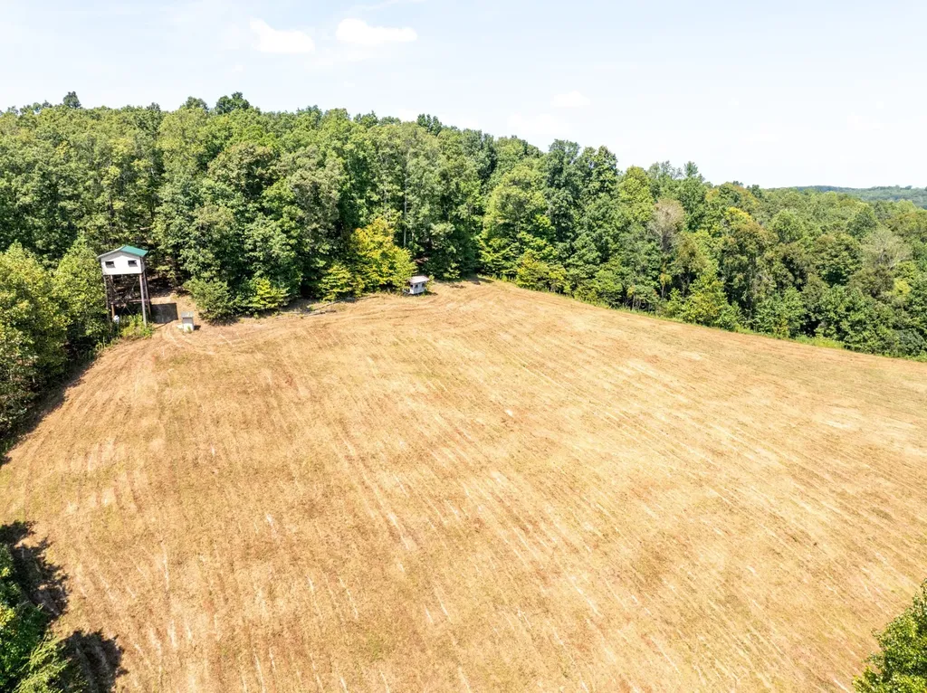 7422 Indian Creek Road Mc Ewen TN 37101