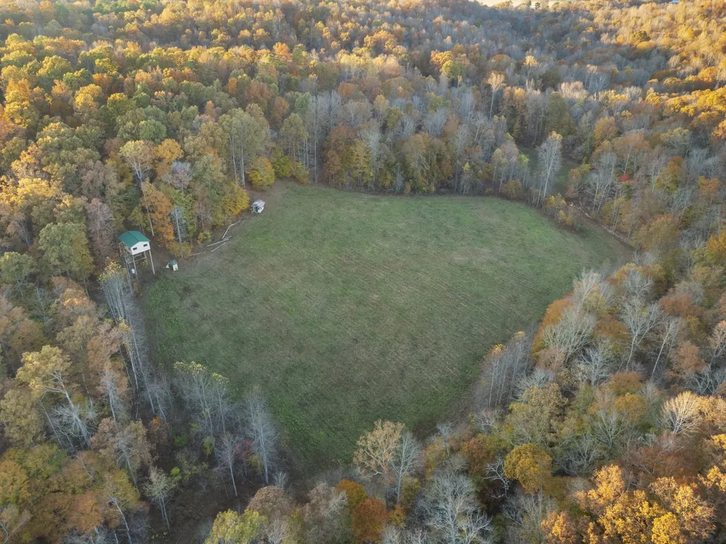 7422 Indian Creek Road Mc Ewen TN 37101