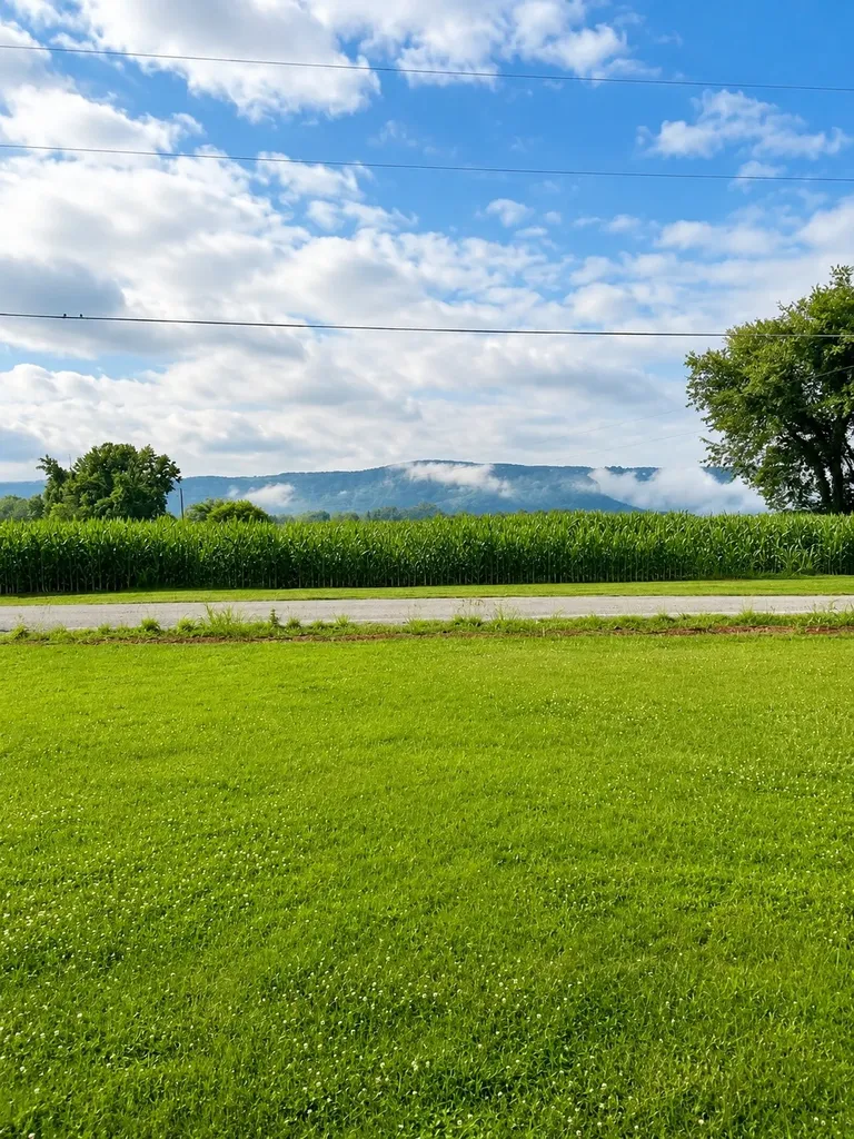 23 Skidmore Lane Winchester TN 37398