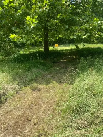 5217 Ragsdale Road Manchester TN 37355
