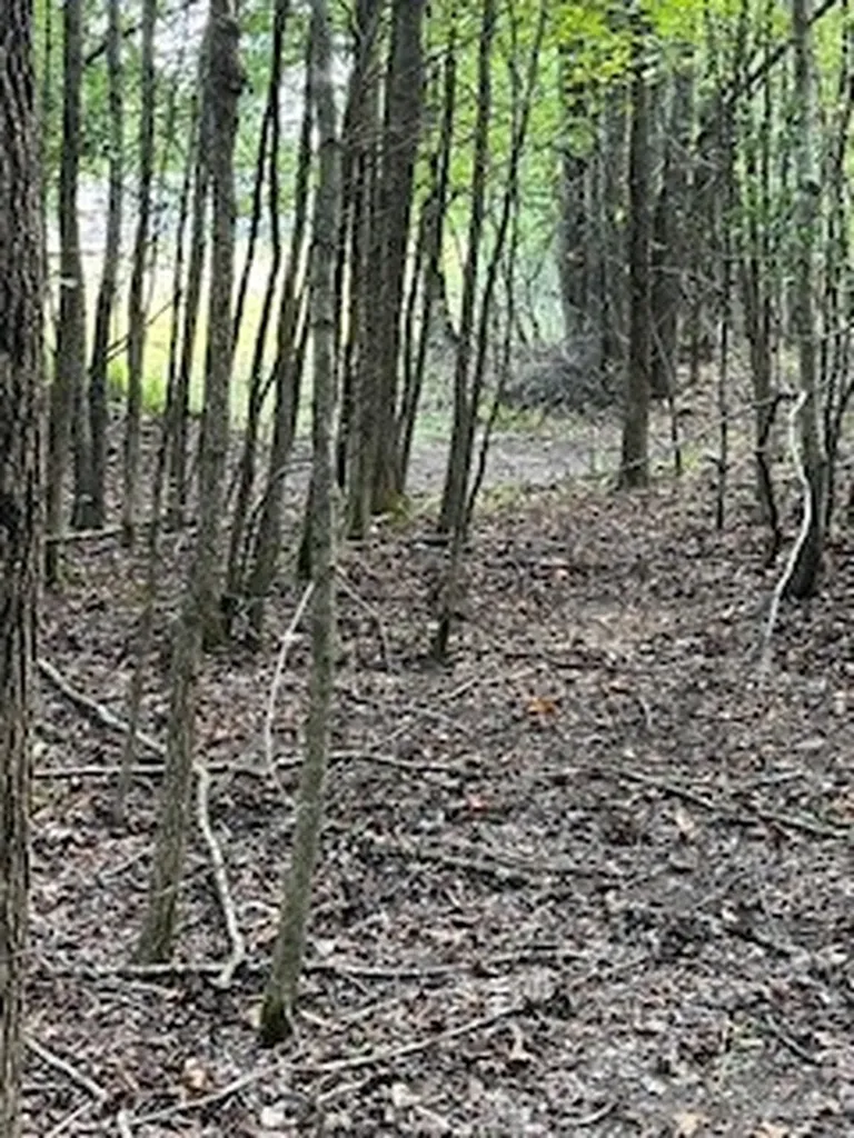 667 Maple Bend Road Winchester TN 37398