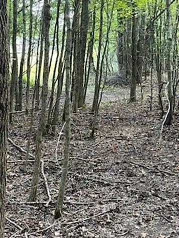 667 Maple Bend Road Winchester TN 37398
