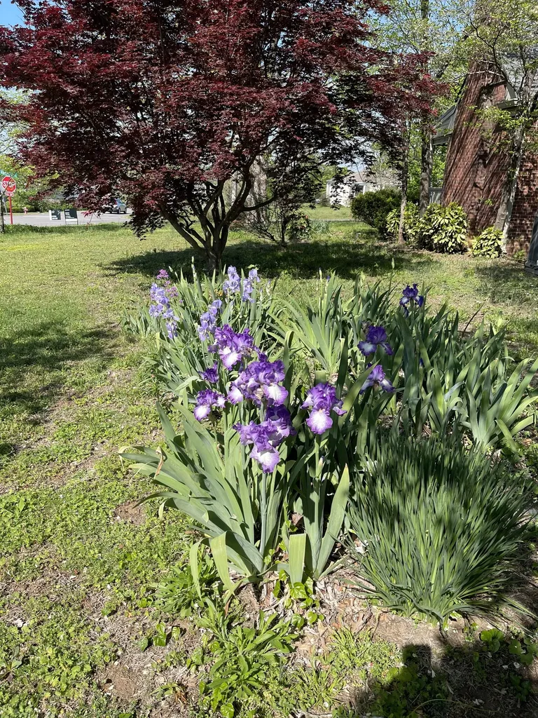 3120 Knobdale Road Nashville TN 37214
