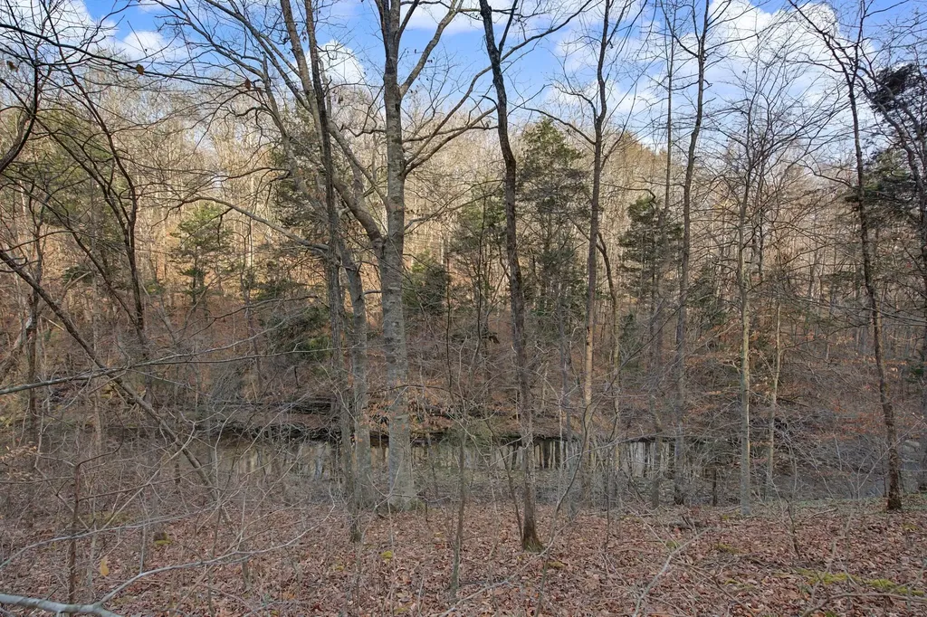 1146 Treanor Springs Road Kingston Springs TN 37082