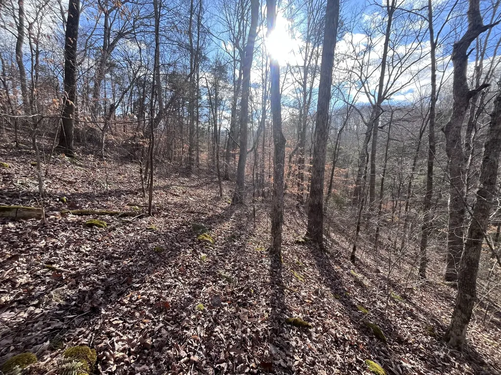 1146 Treanor Springs Road Kingston Springs TN 37082