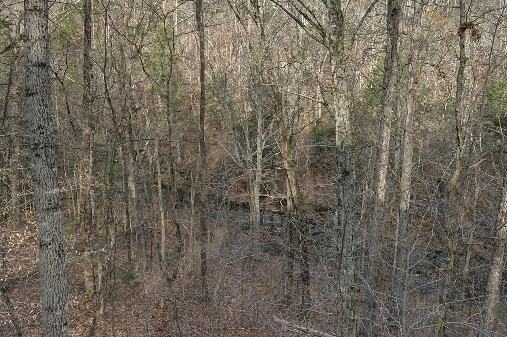 1146 Treanor Springs Road Kingston Springs TN 37082