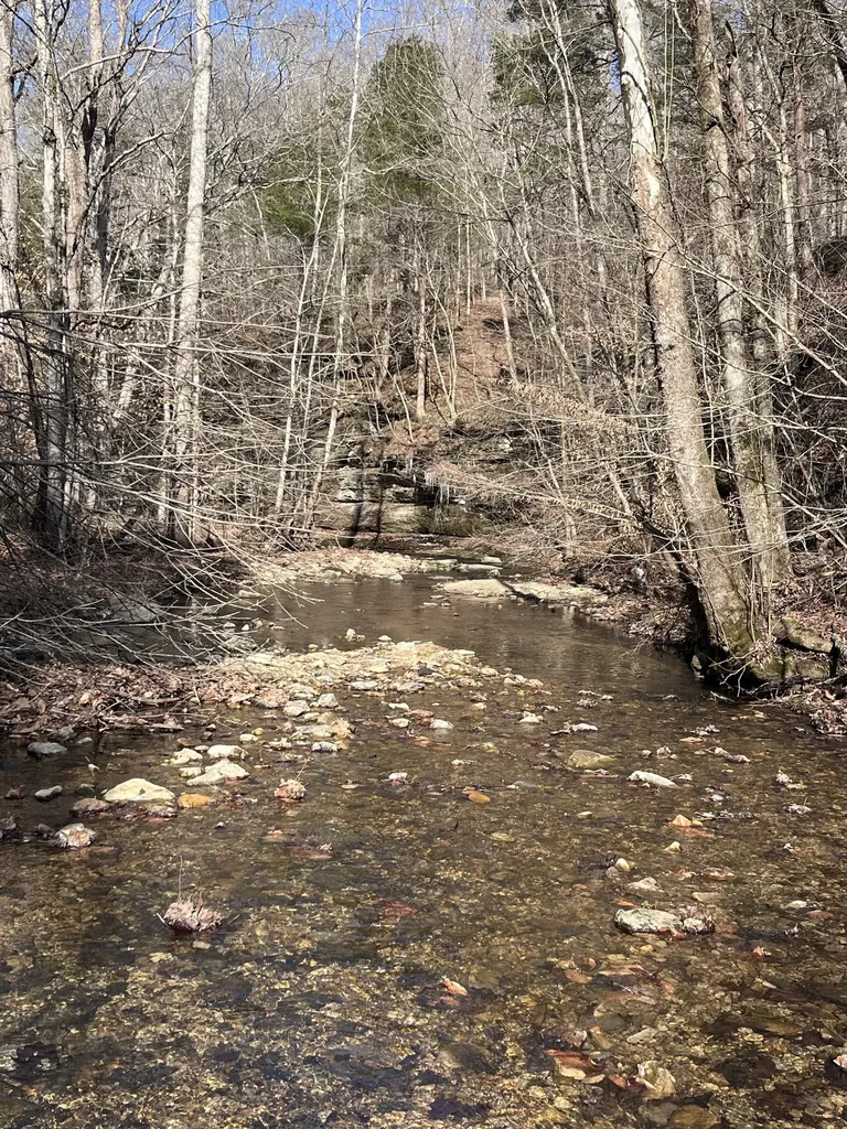 1146 Treanor Springs Road Kingston Springs TN 37082