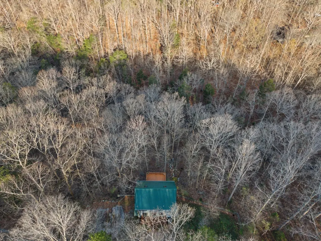 1146 Treanor Springs Road Kingston Springs TN 37082