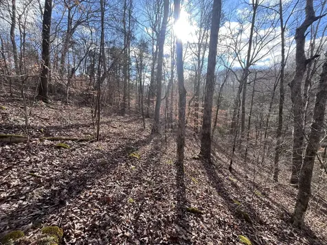 1146 Treanor Springs Road Kingston Springs TN 37082