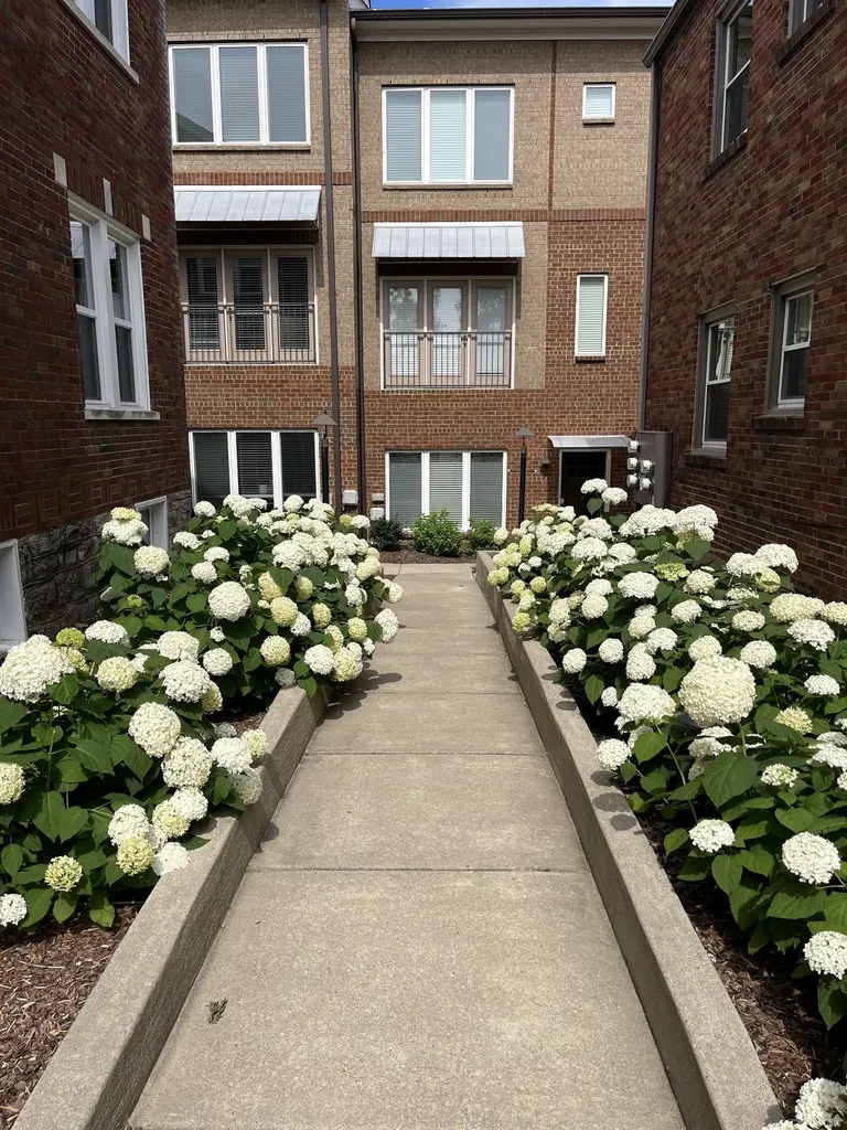 2003 Convent Place Nashville TN 37212