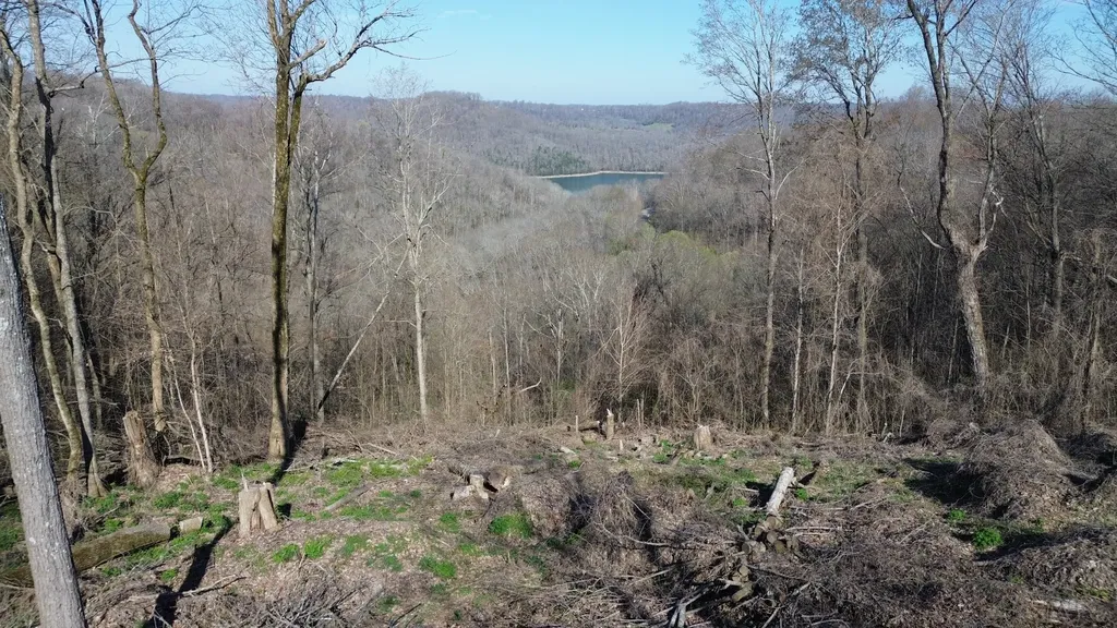 0 Lola Dr Lots 213 & 237 Smithville TN 37166