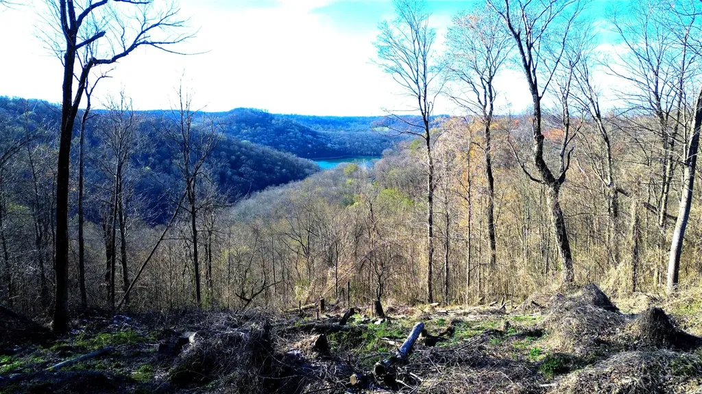 0 Lola Dr Lots 213 & 237 Smithville TN 37166