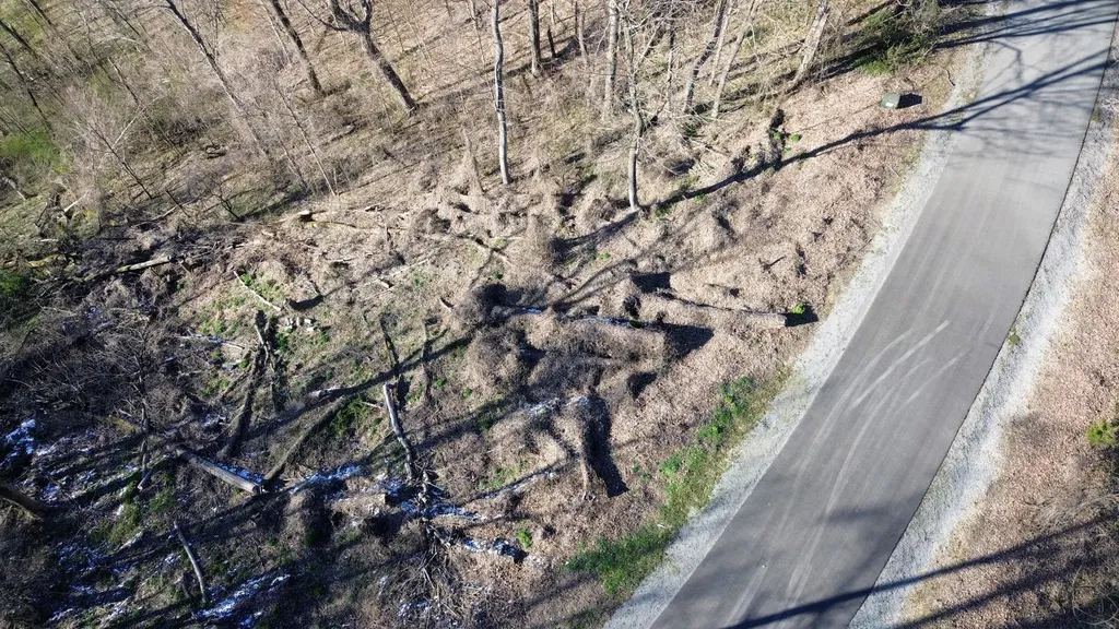 0 Lola Dr Lots 213 & 237 Smithville TN 37166