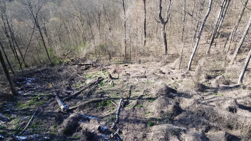 0 Lola Dr Lots 213 & 237 Smithville TN 37166