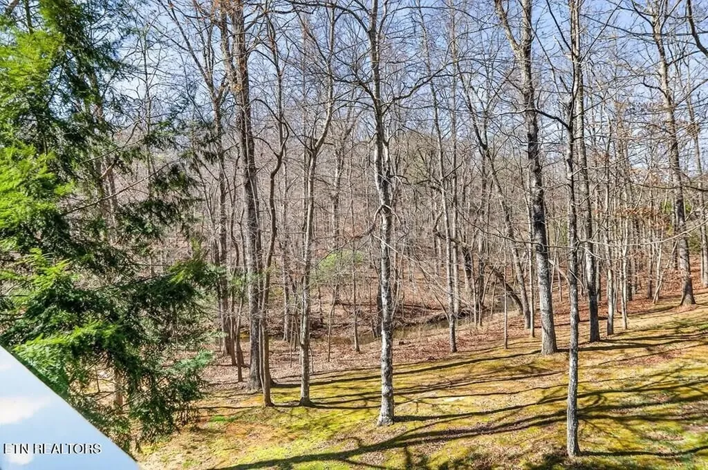 499 Hemlock Lane Spencer TN 38585