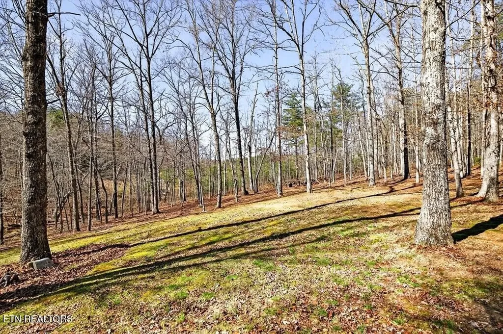 499 Hemlock Lane Spencer TN 38585