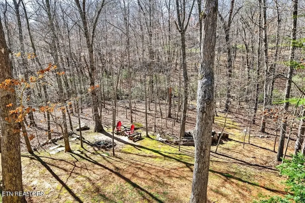 499 Hemlock Lane Spencer TN 38585