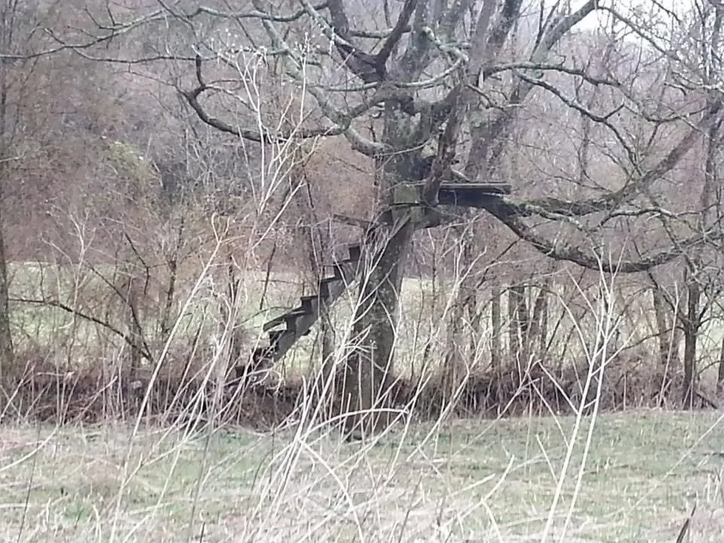 0 Old Bottom Road Lafayette TN 37083