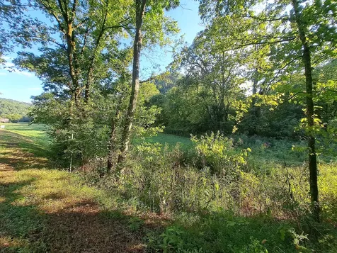 0 Old Bottom Road Lafayette TN 37083