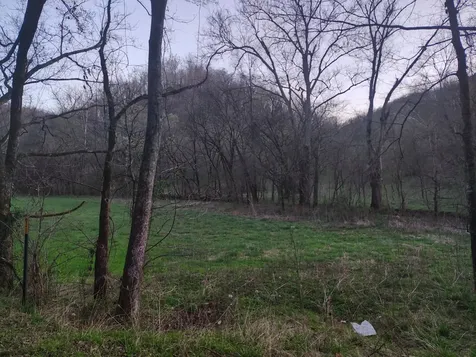 0 Old Bottom Road Lafayette TN 37083