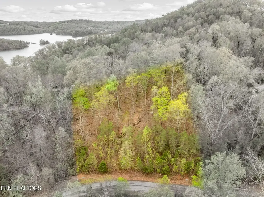 736 Russell Brothers Road Sharps Chapel TN 37866