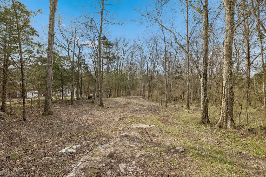 191 Gwin Place Mount Juliet TN 37122