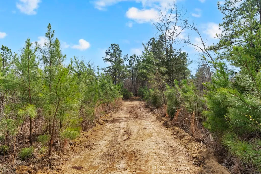0 Jay Hutchings Road Sparta TN 38583