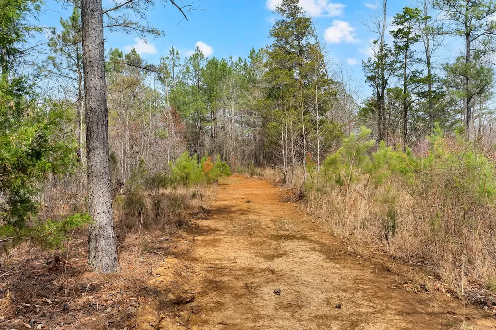 0 Jay Hutchings Road Sparta TN 38583