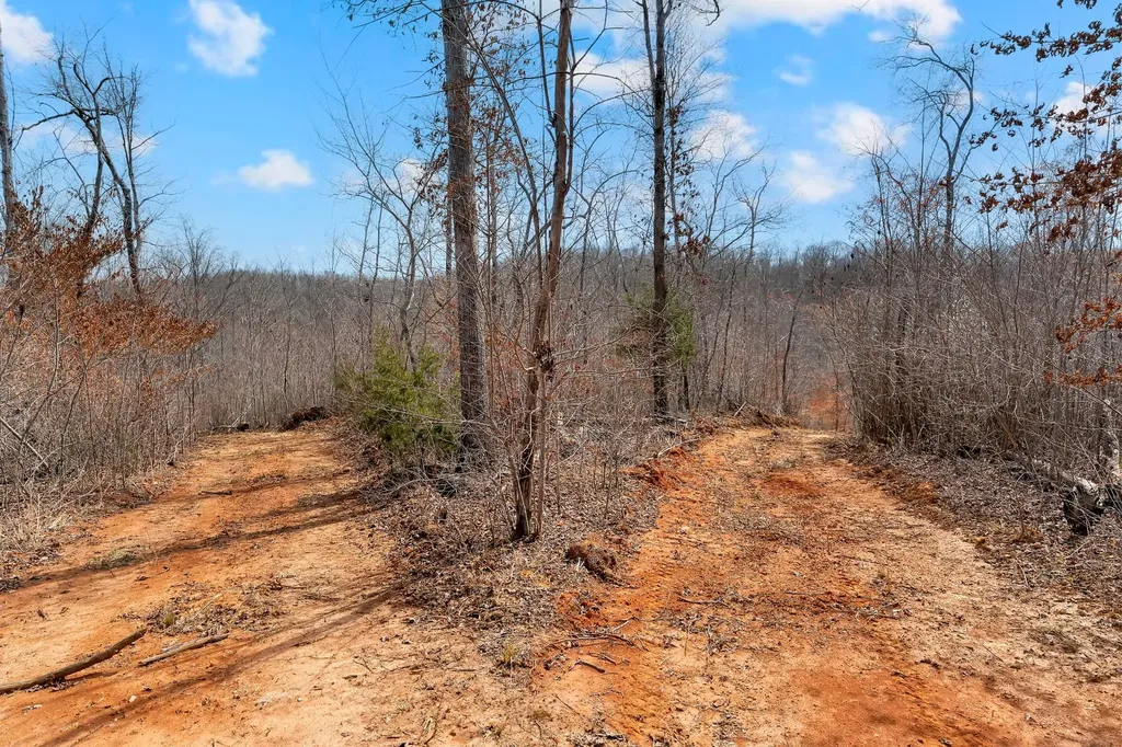 0 Jay Hutchings Road Sparta TN 38583
