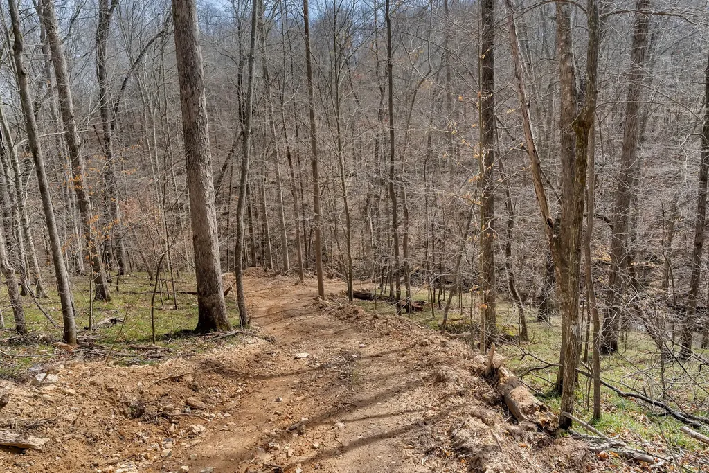 0 Jay Hutchings Road Sparta TN 38583