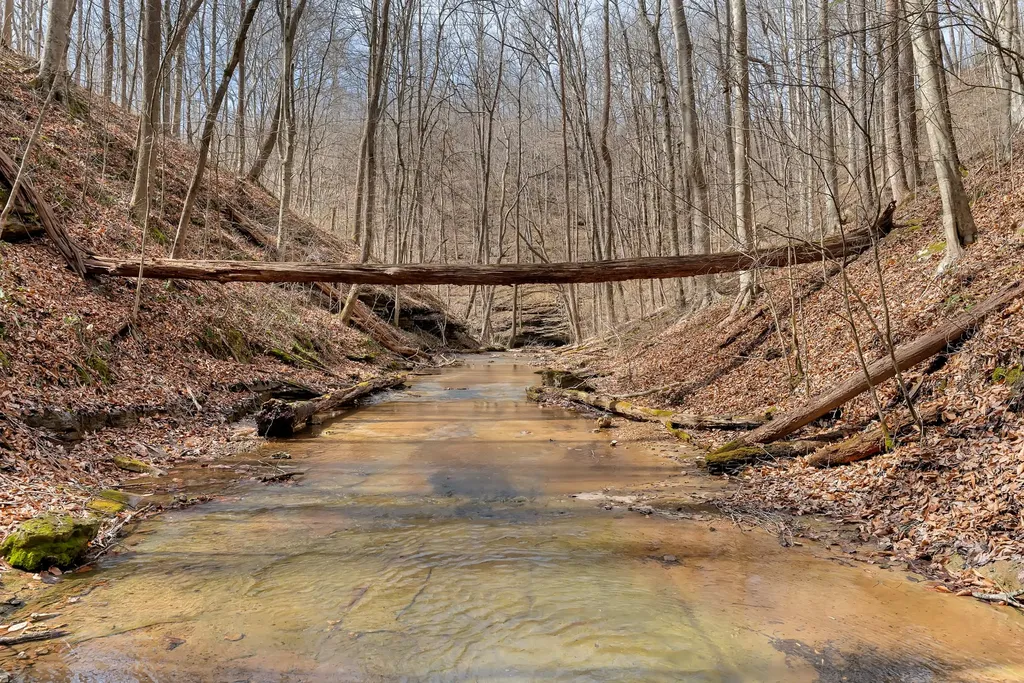 0 Jay Hutchings Road Sparta TN 38583