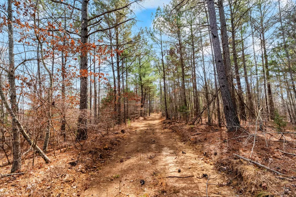 0 Jay Hutchings Road Sparta TN 38583