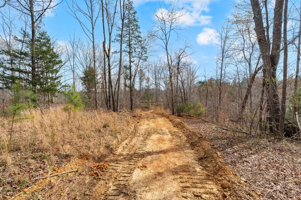 0 Jay Hutchings Road Sparta TN 38583