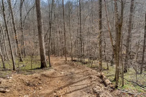 0 Jay Hutchings Road Sparta TN 38583