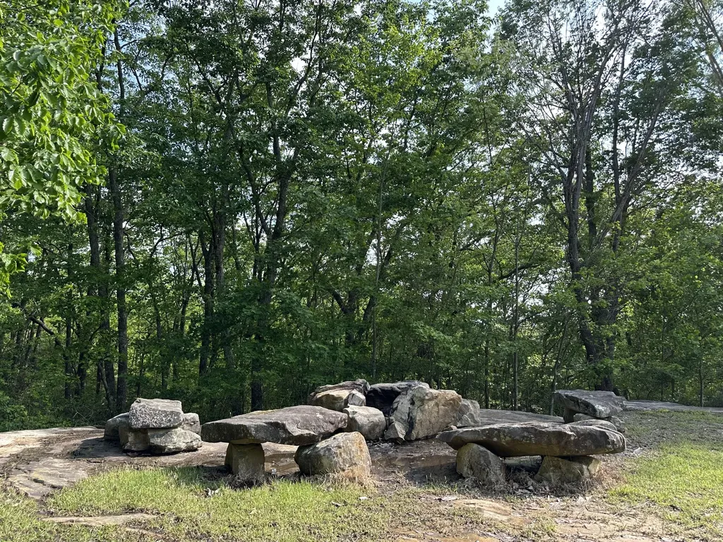 131 Bluff Line Drive Mcminnville TN 37110