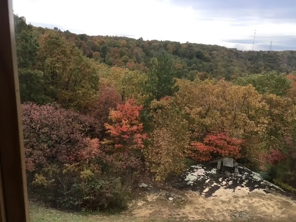 131 Bluff Line Drive Mcminnville TN 37110