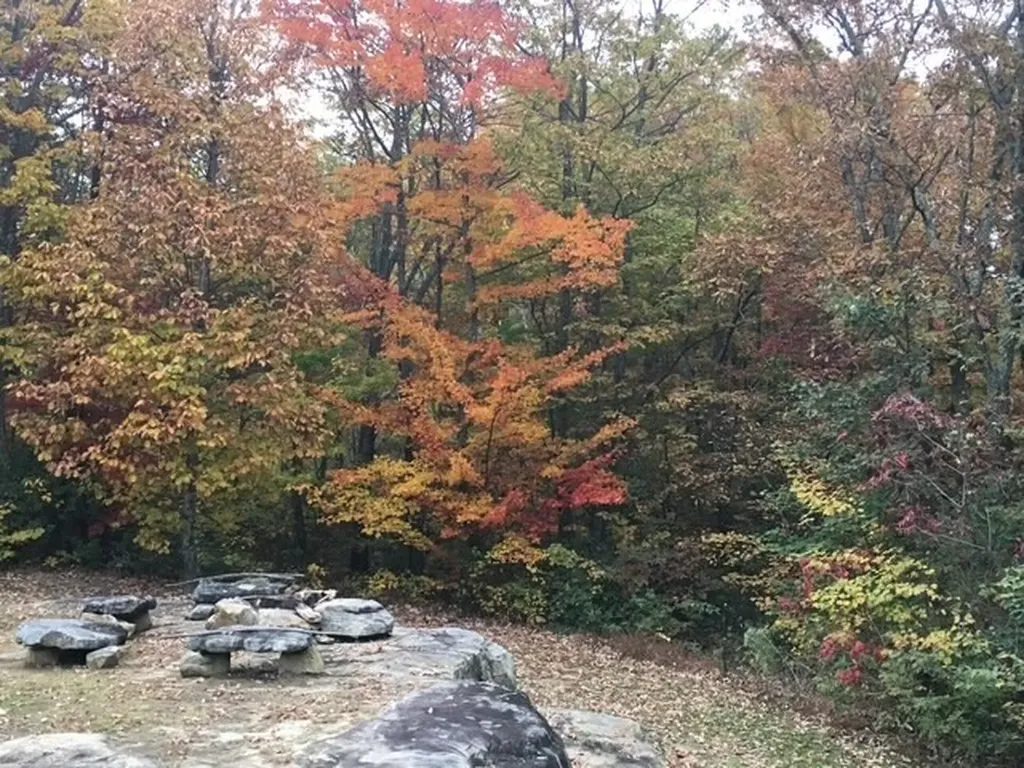 131 Bluff Line Drive Mcminnville TN 37110