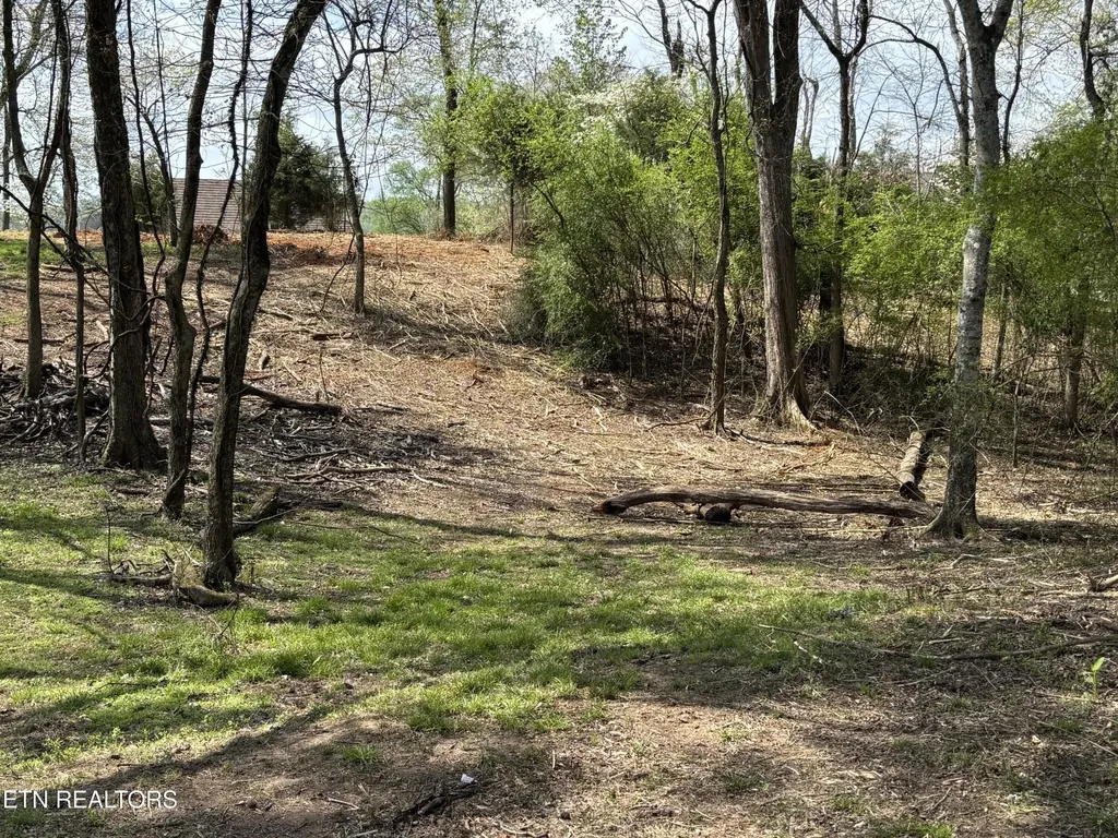 0 E Shore Drive Rockwood TN 37854
