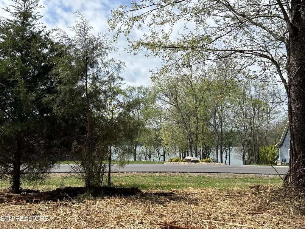 0 E Shore Drive Rockwood TN 37854