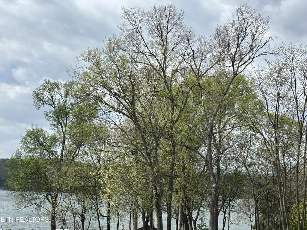 0 E Shore Drive Rockwood TN 37854